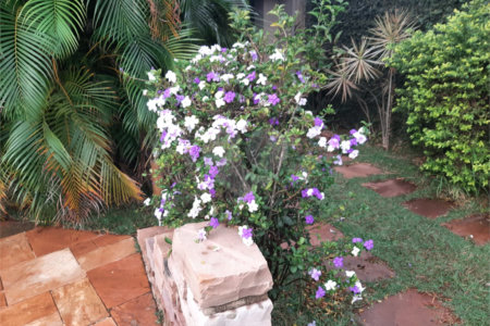 Casa à venda com 2 suítes em Jardim Eliana, Araraquara, SP