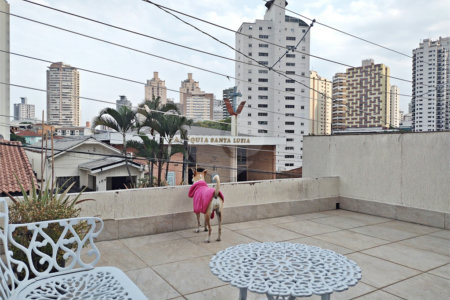 Casa à venda com 5 quartos, sendo 1 suíte, em Água Fria, São Paulo, SP