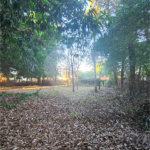 Terreno à venda em Jardim dos Estados, Ponta Porã, MS