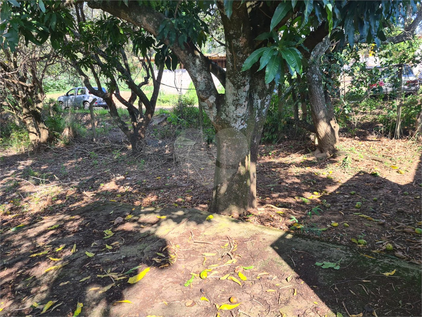 Terreno à venda no Centro, Vinhedo, SP
