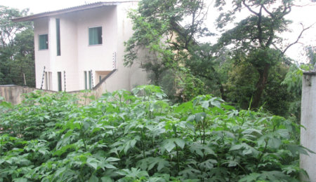 Terreno à venda no condomínio Loteamento Jardim Entre Serras, São Paulo - SP