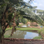 Chácara à venda com 3 quartos, sendo 1 suíte, em Chácara Flora Araraquara, Araraquara, SP