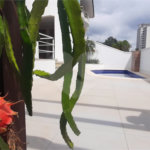 Sobrado à venda com 4 quartos, sendo 2 suítes, em Tucuruvi, São Paulo, SP