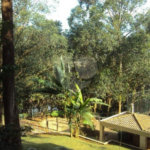 Apartamento à venda com 4 quartos, sendo 2 suítes, em Jardim Adhemar de Barros, São Paulo, SP