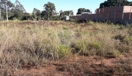 Terreno à venda em Parque Industrial, São Carlos, SP
