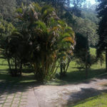 Sítio com 10 dormitórios à venda, 120000 m² por R$ 1.650.000,00 - Bairro Carmo Messias - Ibiúna/SP