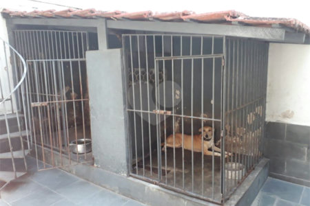 Casa à venda com 5 quartos, sendo 2 suítes,  em Maracanã, Rio de Janeiro, RJ