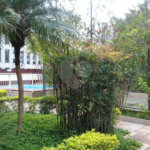 Apartamento à venda com 3 quartos, sendo 1 suíte, em Jardim Londrina, São Paulo, SP