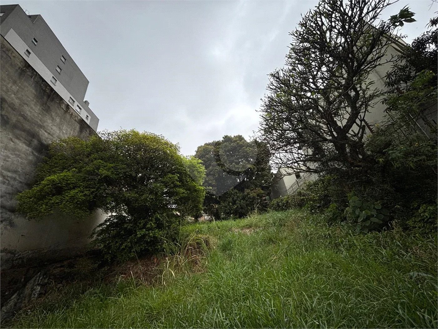 Terreno à venda em Santa Teresinha, São Paulo, SP