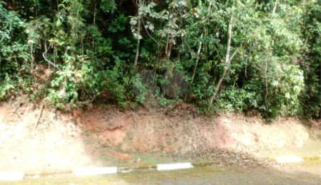 Terreno à venda em Roseira, Mairiporã, SP