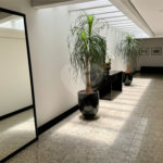 Cobertura à venda com 3 quartos, sendo 2 suítes,  em Vila Progredior, São Paulo, SP