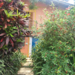 Casa à venda com 3 quartos, sendo 1 suíte, em Vila Cruzeiro, São Paulo, SP