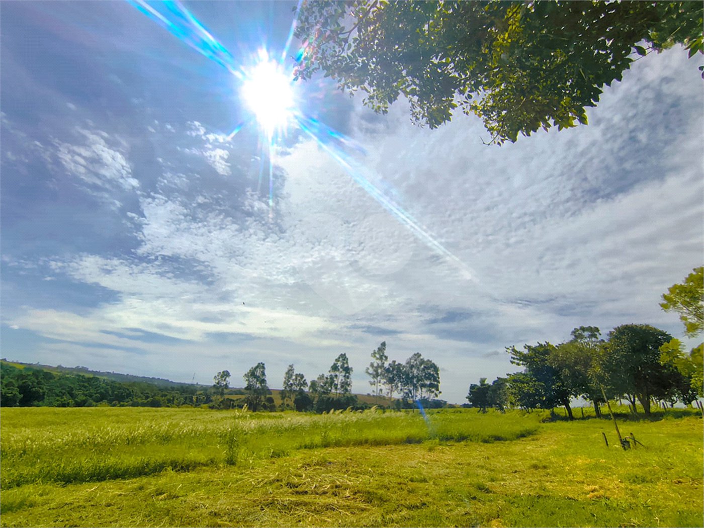 Sítio à venda com 3 quartos em Campo de Boituva, Boituva, SP