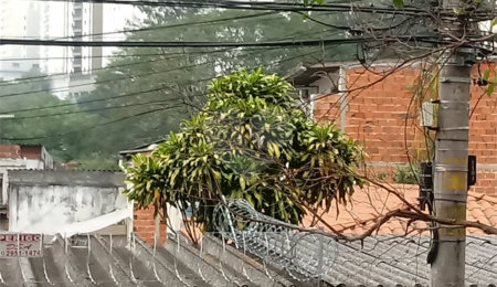Terreno à venda em Mandaqui, São Paulo, SP