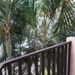 Apartamento à venda com 3 quartos, sendo 1 suíte, em Casa Verde, São Paulo, SP