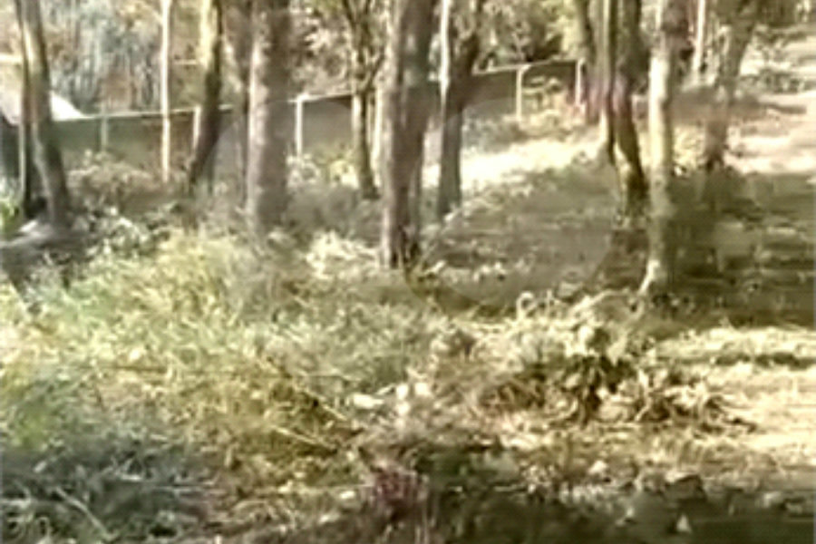 Terreno à venda em Luiz Fagundes, Mairiporã, SP