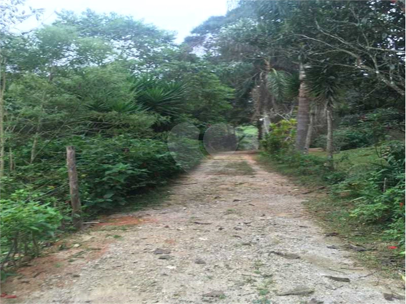 Sítio à venda com 5 quartos, sendo 4 suítes,  em Cocuera, Mogi das Cruzes, SP