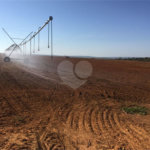 Fazenda à venda com 2 quartos em Canabrava, João Pinheiro, MG