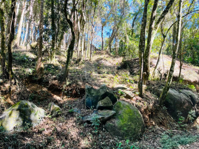 Terreno à venda em Jundiaizinho (terra Preta), Mairiporã, SP