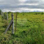 Terreno à venda em Área Rural de Guareí, Guareí, SP