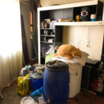 Sobrado à venda com 5 quartos, sendo 1 suíte, em Parque Edu Chaves, São Paulo, SP