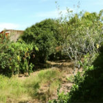 Casa Residencial à venda, Balneário Marambaia, Itanhaém - CA0135.