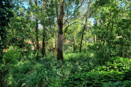 Terreno à venda no condomínio Horto do Ypê, São Paulo - SP