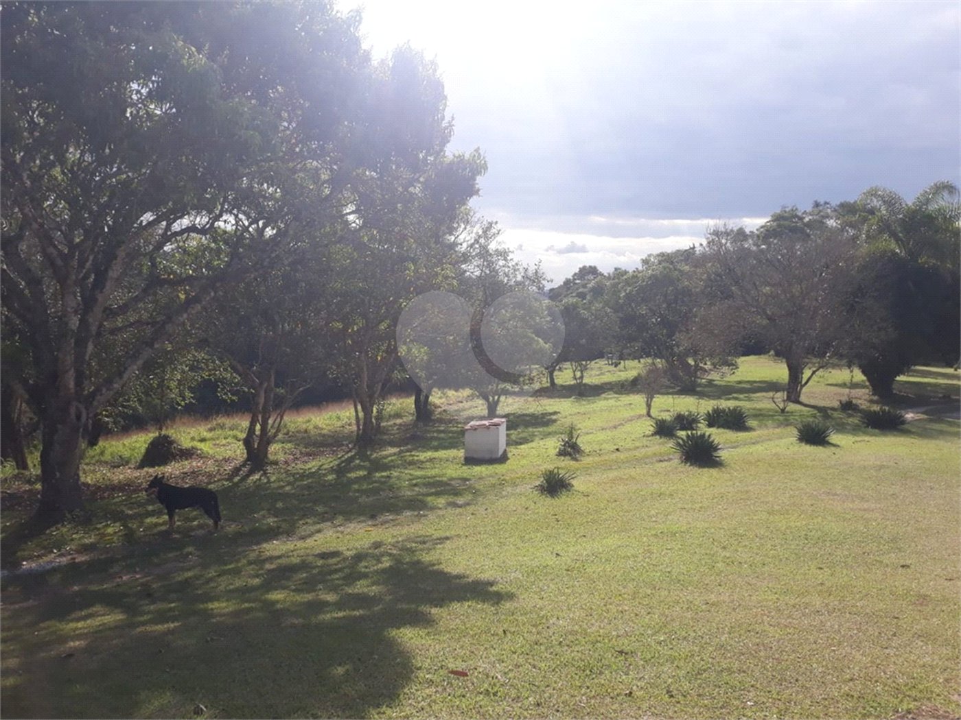 Sítio à venda com 5 quartos, sendo 3 suítes,  em Planalto Verde, São Roque, SP