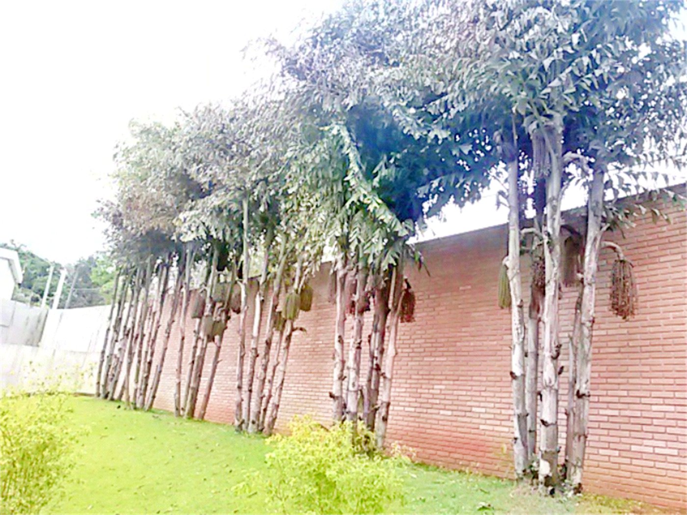 Terreno à venda no condomínio Estrada do Corisco,4929, São Paulo - SP