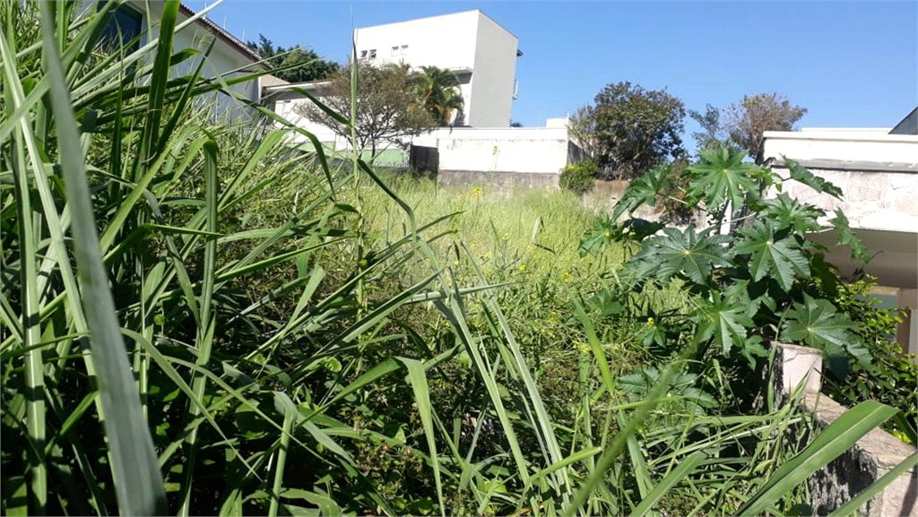 Terreno à venda em Jardim São Bento, São Paulo, SP
