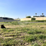 Terreno à venda no condomínio Jardim Residencial Reserva da Mata, Indaiatuba - SP