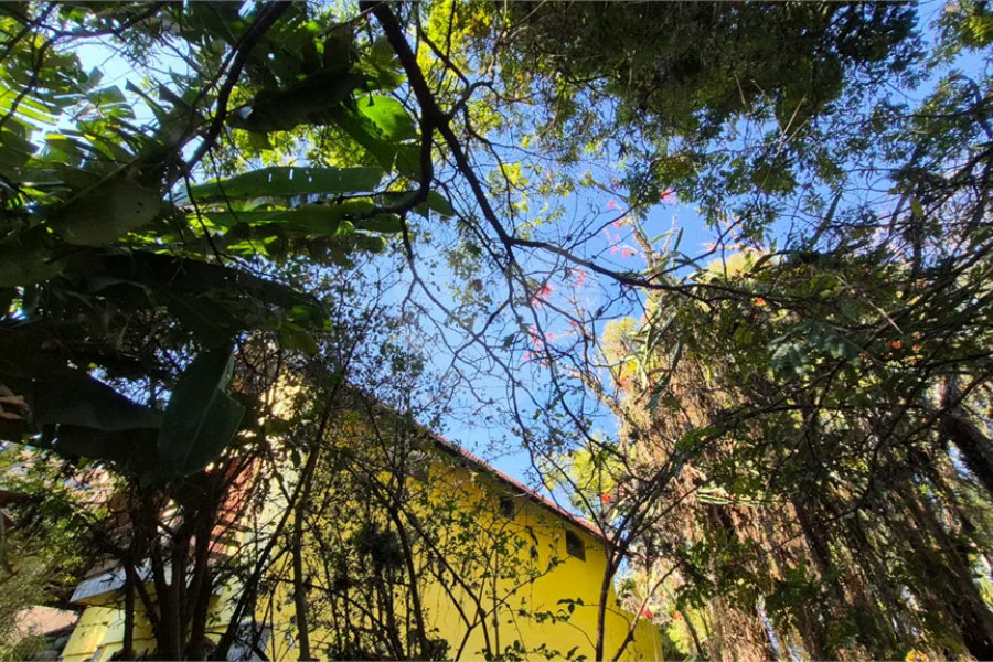 Casa com Piscina, Sauna e Edícula em Rua Arborizada no Tremembé