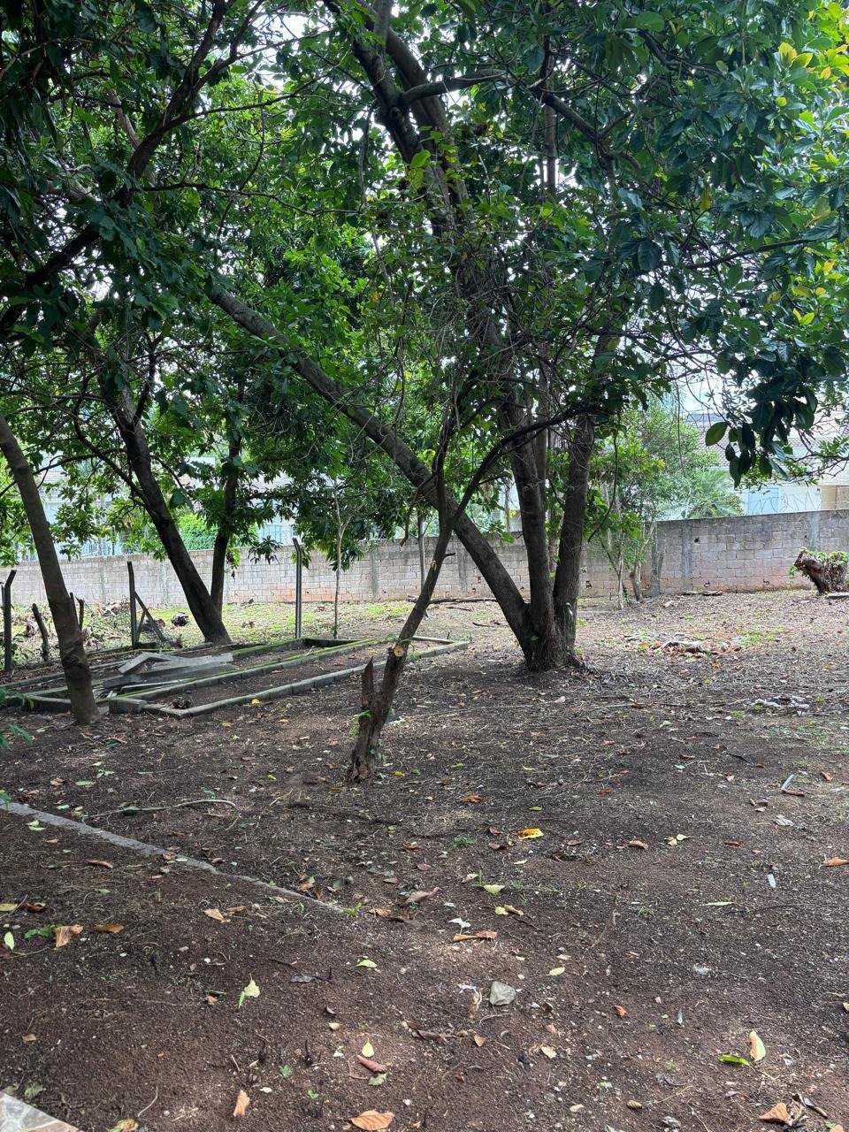 Chácara à venda com 3 quartos, sendo 1 suíte, em Bosque, Vinhedo, SP