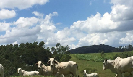 Fazenda à venda com 1 suíte no Centro, Morungaba, SP