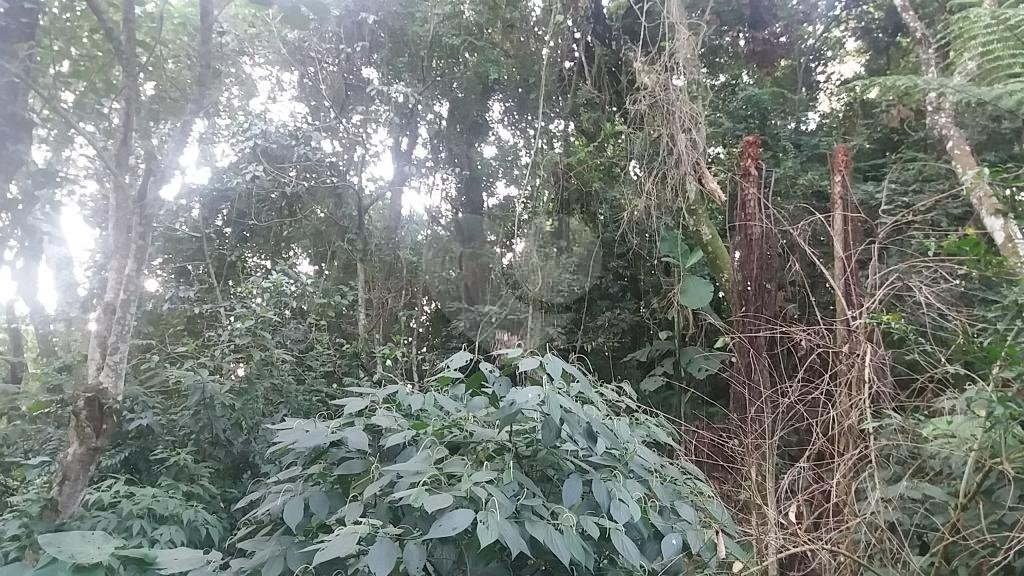 Terreno à venda em Tucuruvi, São Paulo, SP