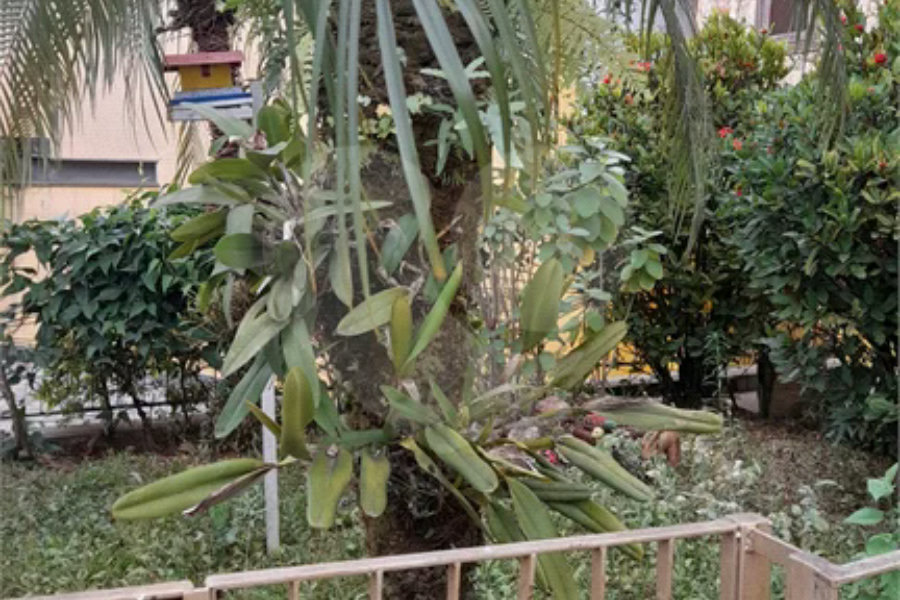 Sobrado à venda com 3 suítes em Tremembé, São Paulo, SP