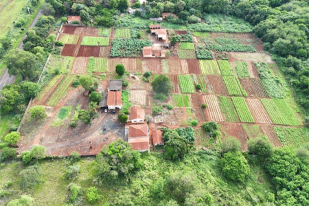 Terreno à venda em Jardim Itaú, Ribeirão Preto, SP