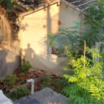 Terreno à venda em Santana, São Paulo, SP