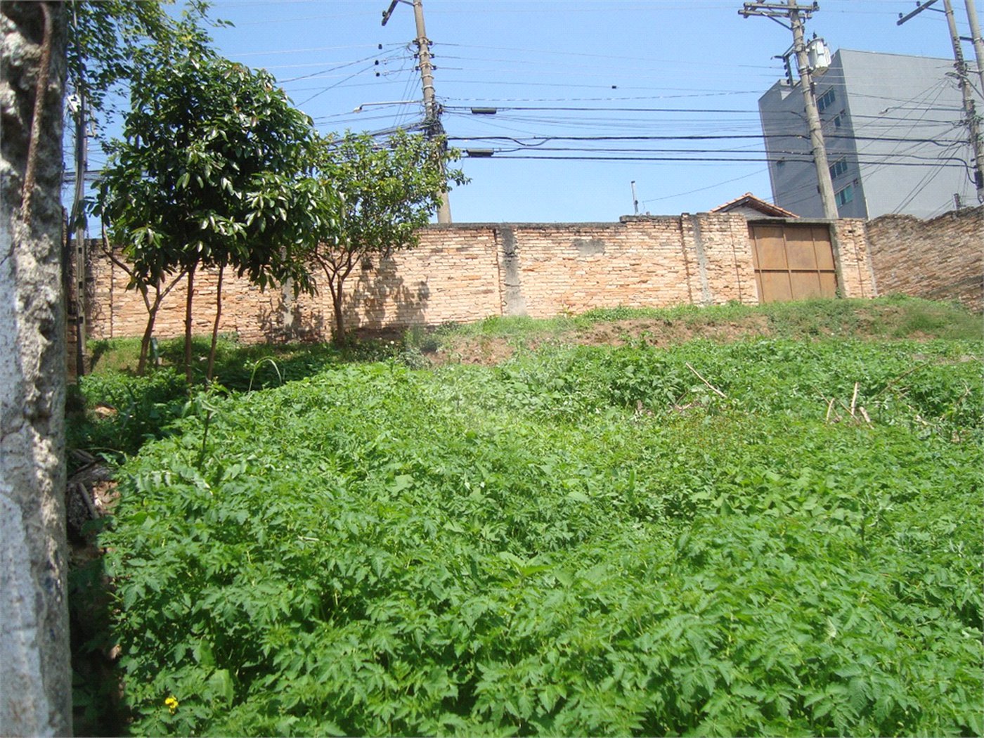 Terreno à venda em Casa Verde, São Paulo, SP
