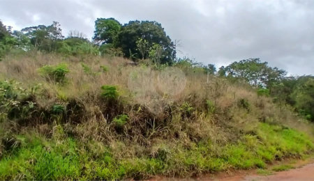 Terreno à venda em Luiz Fagundes, Mairiporã, SP