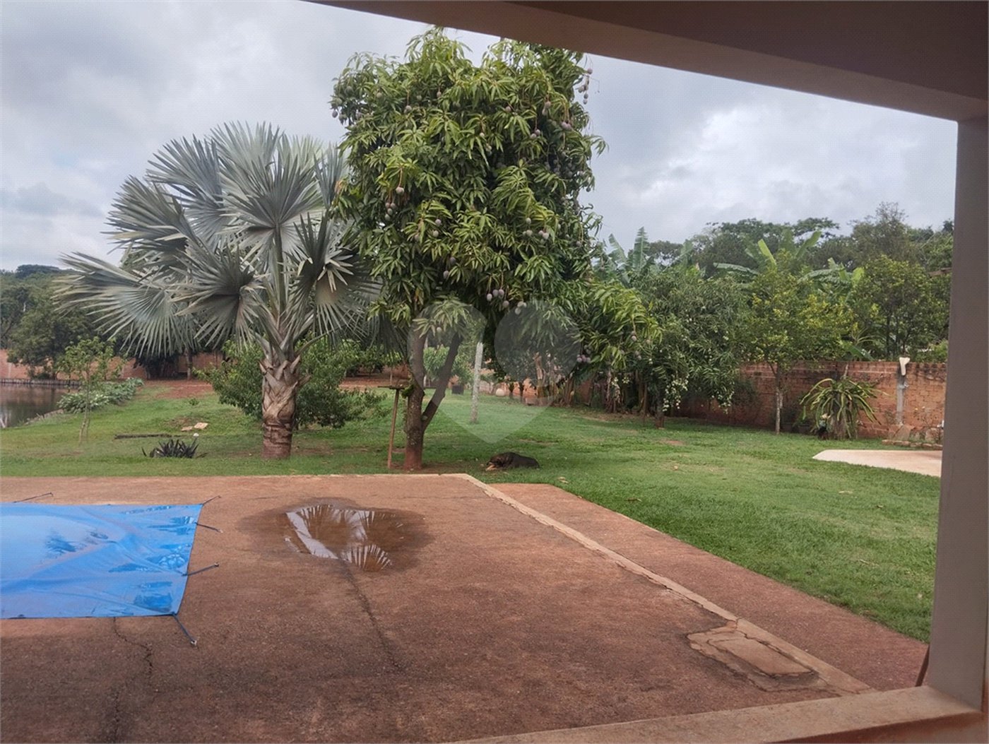 Chácara à venda com 3 quartos, sendo 1 suíte, em Chácara Flora Araraquara, Araraquara, SP