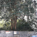 Terreno à venda ou para alugar em Vila Andrade, São Paulo, SP