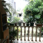 Sobrado à venda com 2 quartos em Vila Mazzei, São Paulo, SP