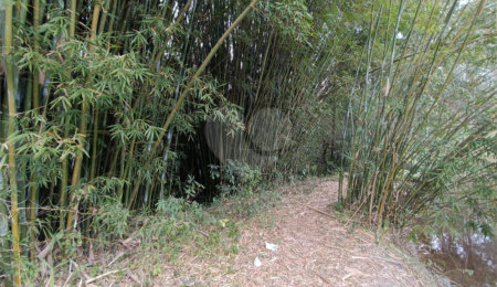 Terreno à venda em Vila Junqueira, São Roque, SP