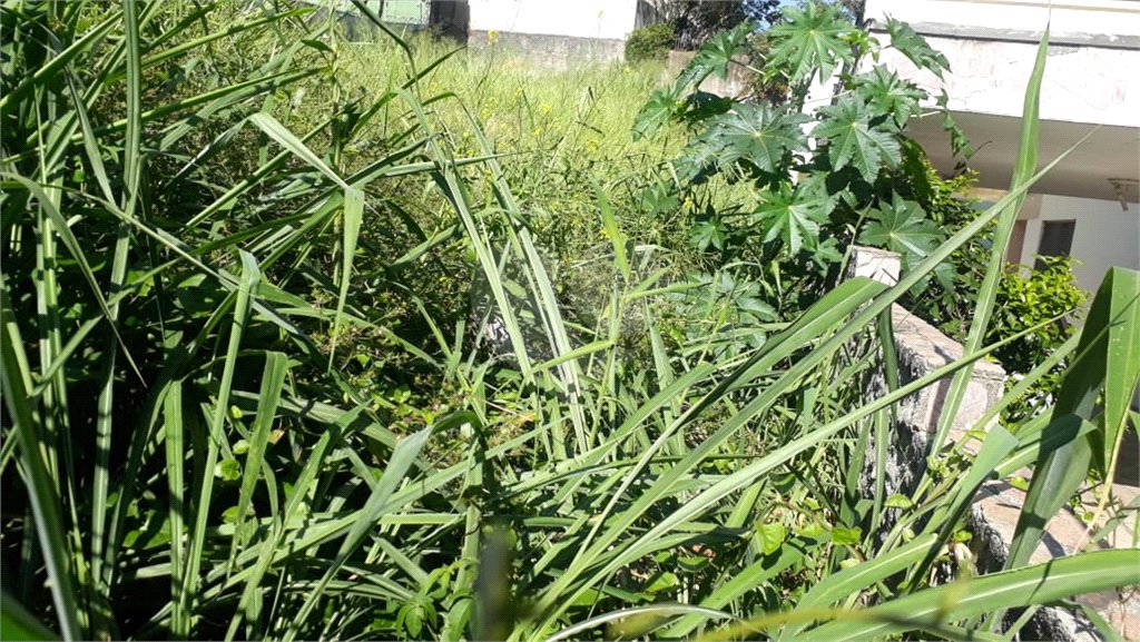 Terreno à venda em Jardim São Bento, São Paulo, SP