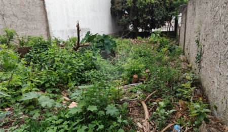 Terreno à venda com 1 suíte em Vila Constança, São Paulo, SP