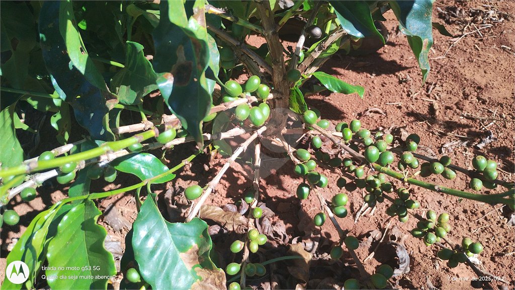 Chácara à venda em Campo Grande, Pilar do Sul, SP