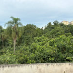 Casa à venda com 3 quartos no condomínio Bosques da Vila - Casa 3° Fase, Cotia - SP