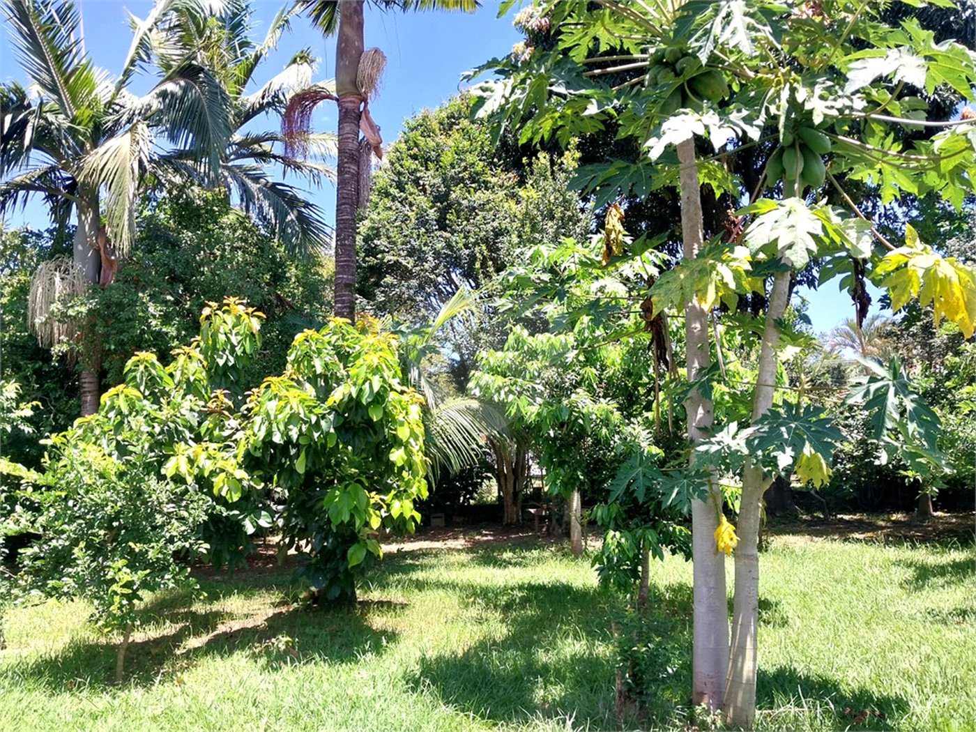 Chácara à venda com 3 quartos, sendo 1 suíte, em Barreirinho, Araçoiaba da Serra, SP
