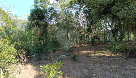 Sítio à venda com 2 quartos, sendo 1 suíte,  em Sorocamirim (canguera), São Roque, SP